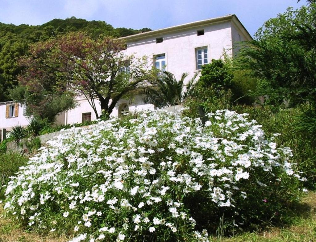 Casa A Rota Chambres D'Hotes Ersa Εξωτερικό φωτογραφία